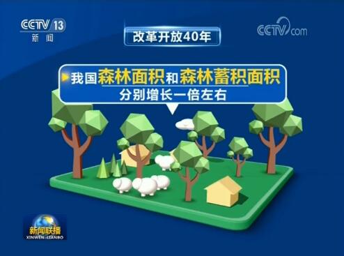 众人植树树成林——我国成为全球森林资源增长最多的国家