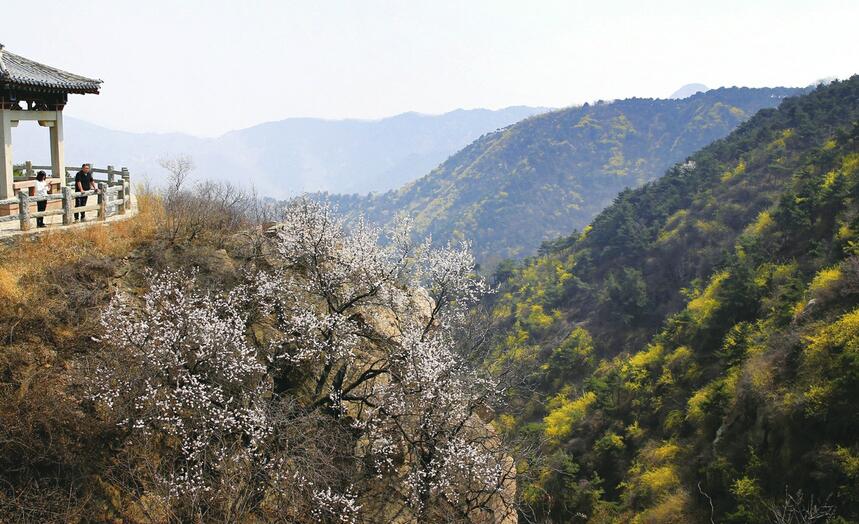 玩嗨跑马岭 市民有优惠