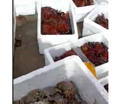佛系买家？买小龙虾放生 水产市场摊主说