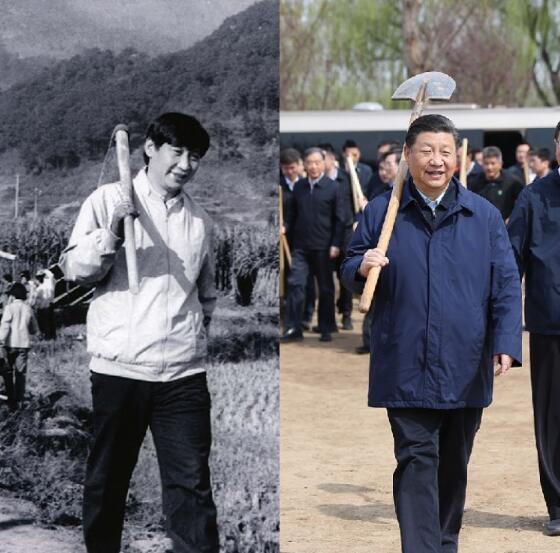 习近平总书记这个动作，数十年未曾改变