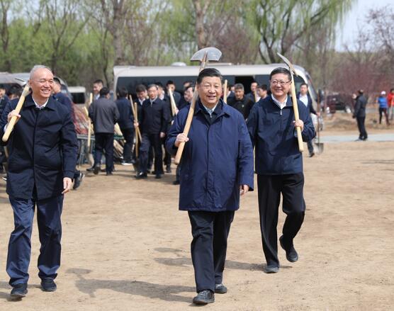 习近平总书记这个动作，数十年未曾改变