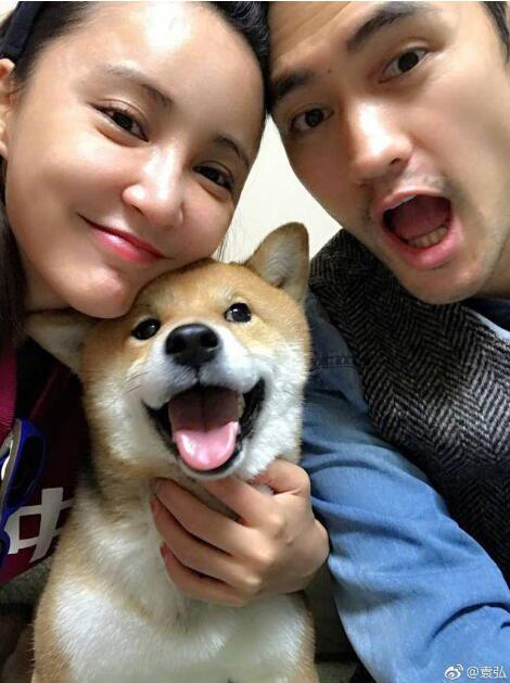 笑疯了!张歆艺袁弘八卦是什么情况?吃瓜吃到自己了?