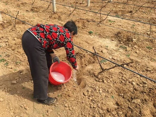 中共“进京赶考”的起点如今什么样？