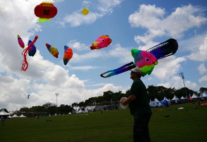追梦春天 泉鸢共舞！亚欧美齐聚 济南“最高”的国际休闲节来了