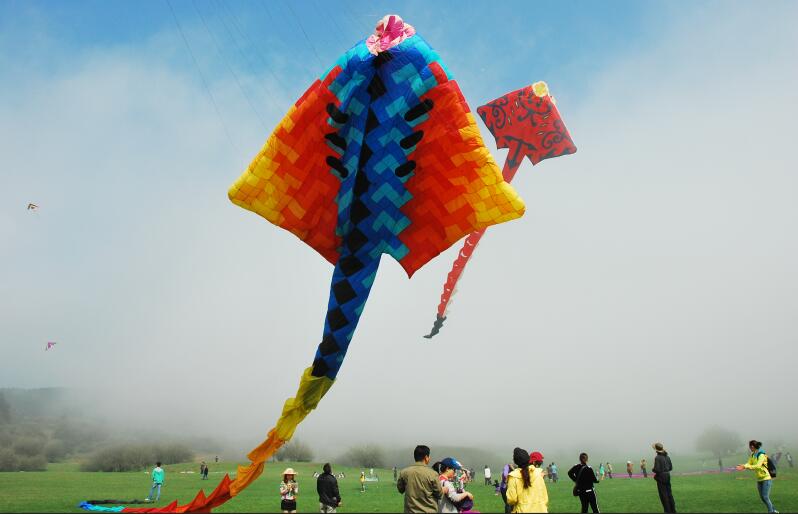 追梦春天 泉鸢共舞！亚欧美齐聚 济南“最高”的国际休闲节来了