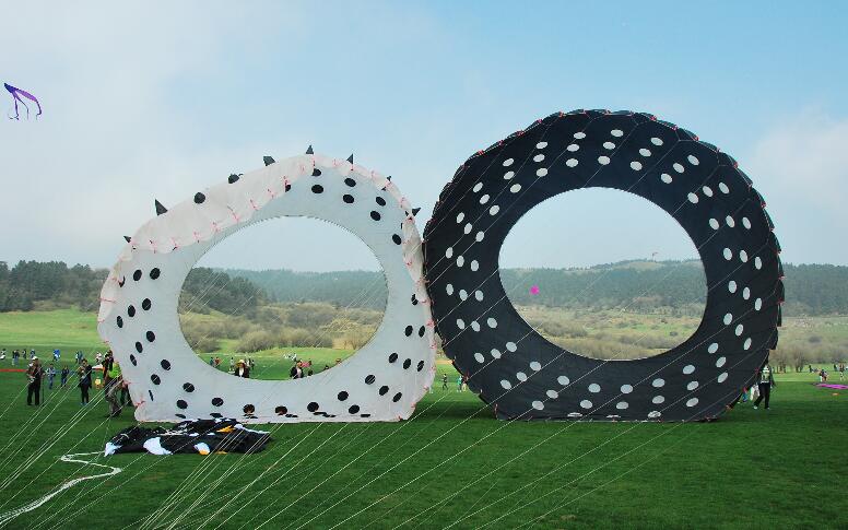 追梦春天 泉鸢共舞！亚欧美齐聚 济南“最高”的国际休闲节来了