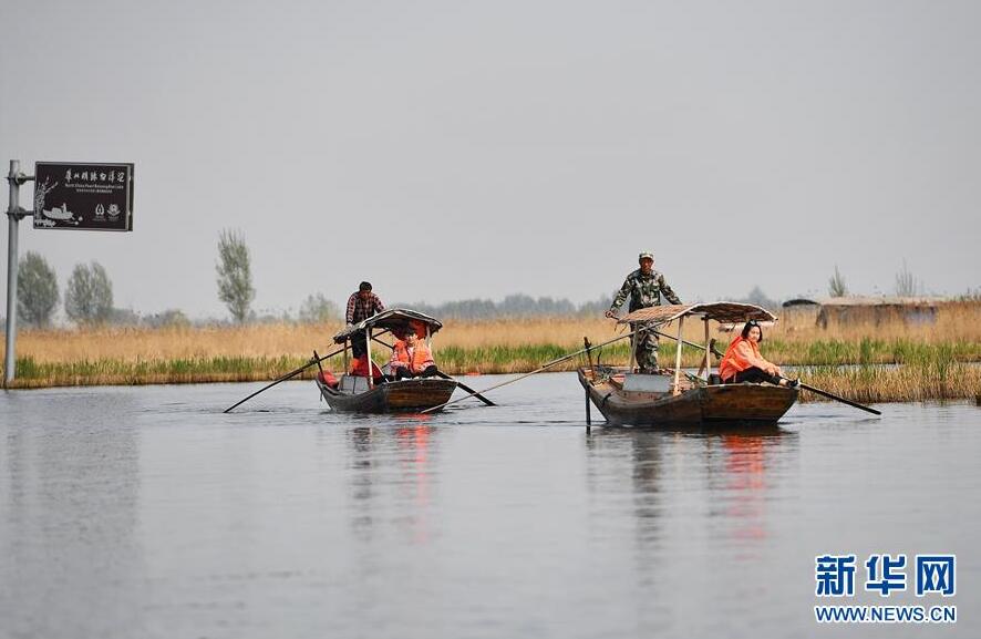 从革命老区到雄安新区 白洋淀迎来新生