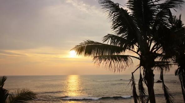 90年来修的第一条铁路，中国帮它实现