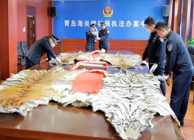 海关总署发布打击象牙等濒危物种及其制品走私十大典型案例