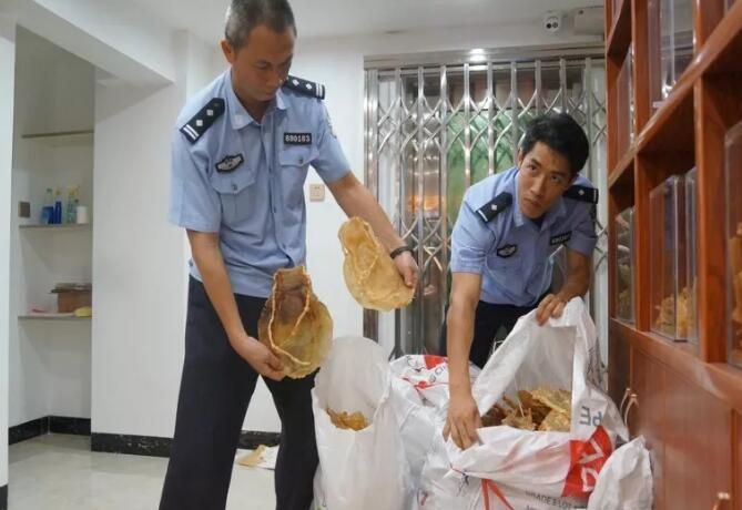 海关总署发布打击象牙等濒危物种及其制品走私十大典型案例