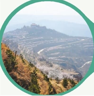 “改一条溜索、修一段公路”（习近平讲故事）