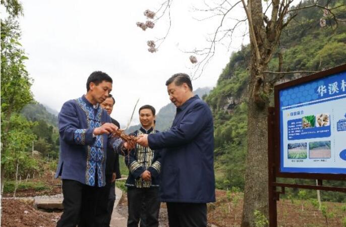 解剖一只麻雀，解决一类问题，总书记重庆之行有何深意？