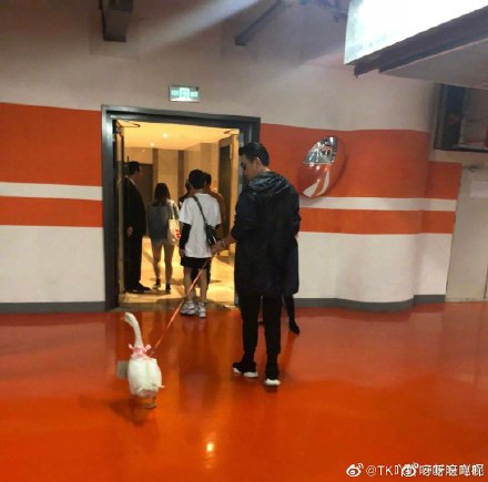 惊呆了!保剑锋被粉丝送鹅具体什么情况?具体详情始末曝光