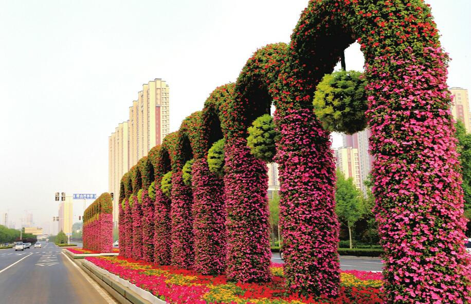绿化美化 城市靓丽