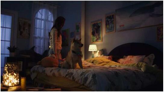 这才是你该追的全球大片！世界有时差，梦想不打烊！