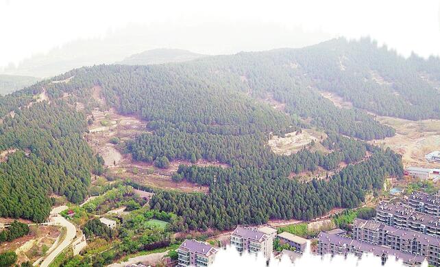 珍爱美丽地球 守护自然资源