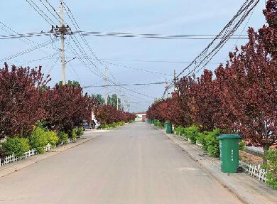 百名青年记者走基层｜900多万元为何“花落”4个小村庄？