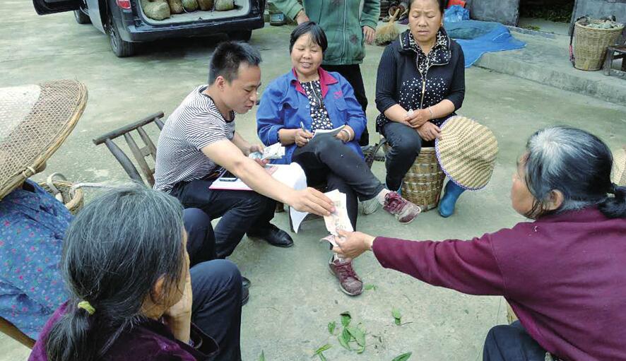 小小毛尖挑大梁 东西携手助脱贫