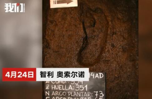 最古老人类脚印啥样？智利南部发现脚印可追溯到1.56万年前