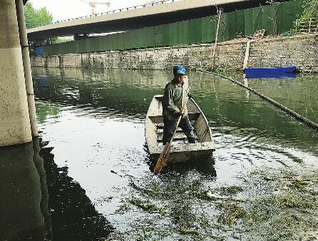 [温暖泉城]年近七旬“泛舟人”日捞水草垃圾数吨