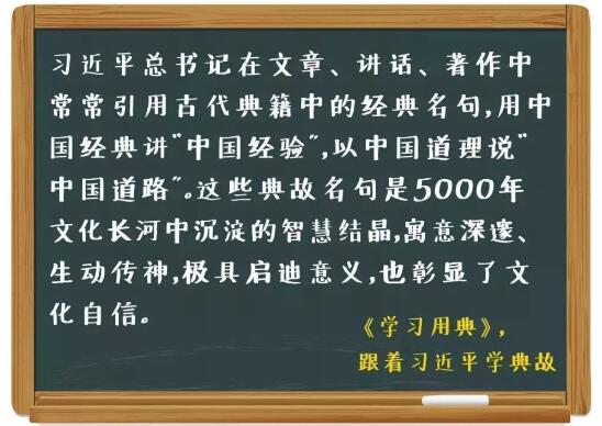 学习用典︱青春虚度无所成，白首衔悲亦何及
