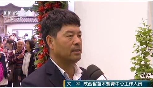 史上首次！300多种珍稀濒危植物共同亮相世园会