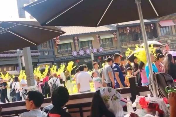 终于真相了!游客哄抢展览花什么情况 详情始末曝光令人哭笑不得