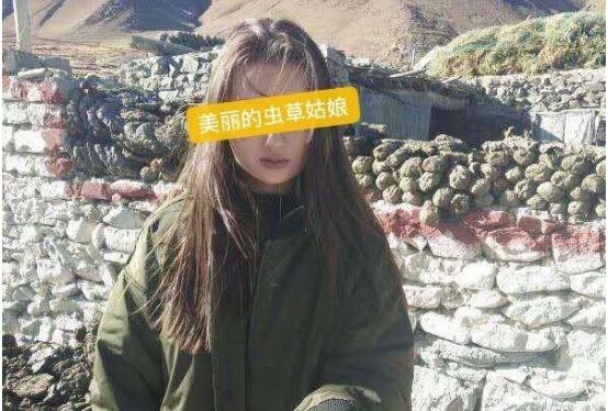 “虫草姑娘”诈骗200万元 18名犯罪成员落入法网