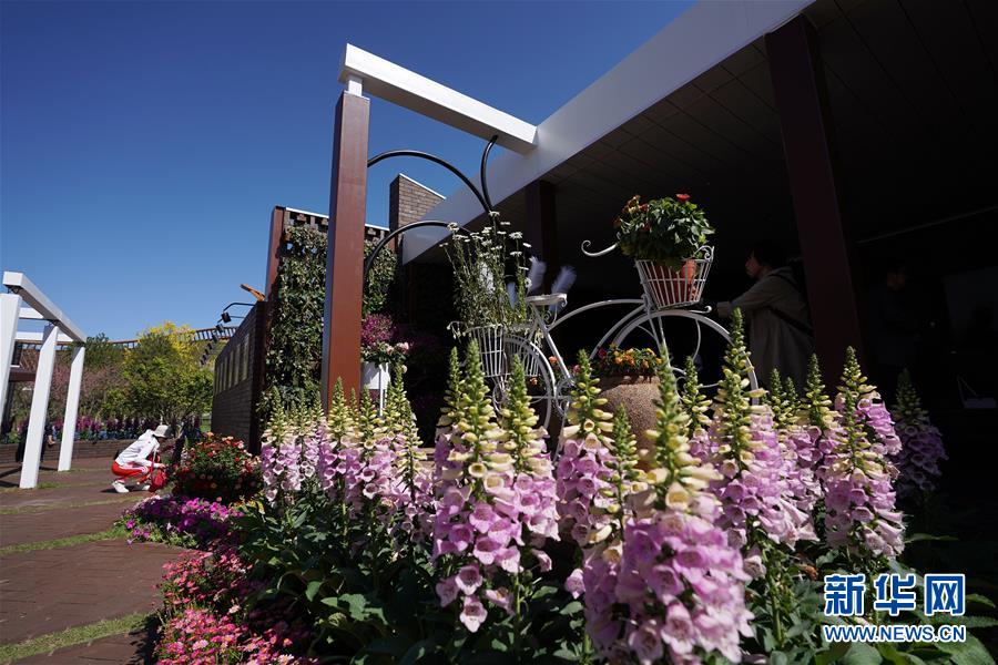 \ (北京世园会)(2)北京世园会迎来“天津日”