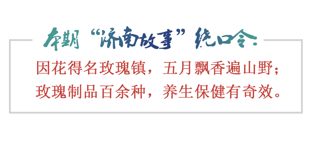 [济南故事] 平阴玫瑰甲天下 玫瑰制品亦非凡