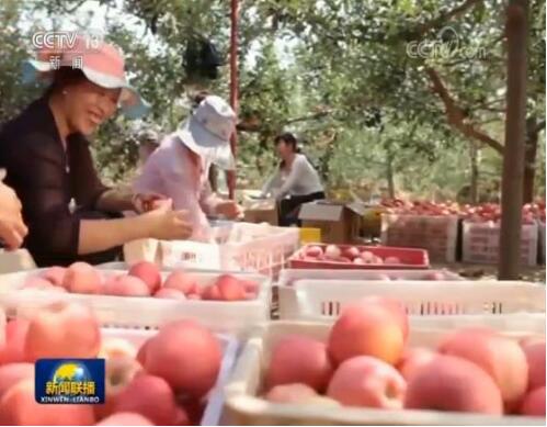 革命圣地延安告别绝对贫困