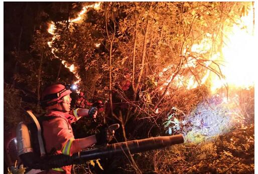 【火情关注】丽江玉龙发生山火 周边尚无重要设施及民居