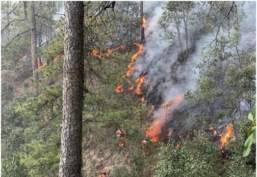 【火情关注】丽江玉龙发生山火 周边尚无重要设施及民居