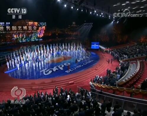 焦点访谈丨除了奇花异草，世园会还看啥？