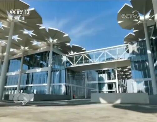 焦点访谈丨除了奇花异草，世园会还看啥？