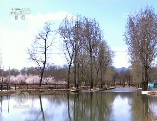 焦点访谈丨除了奇花异草，世园会还看啥？