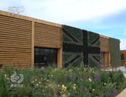 焦点访谈丨除了奇花异草，世园会还看啥？