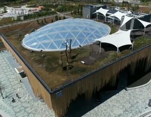 焦点访谈丨除了奇花异草，世园会还看啥？