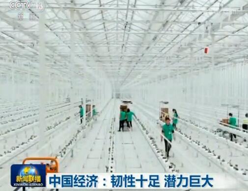 中国经济：韧性十足 潜力巨大