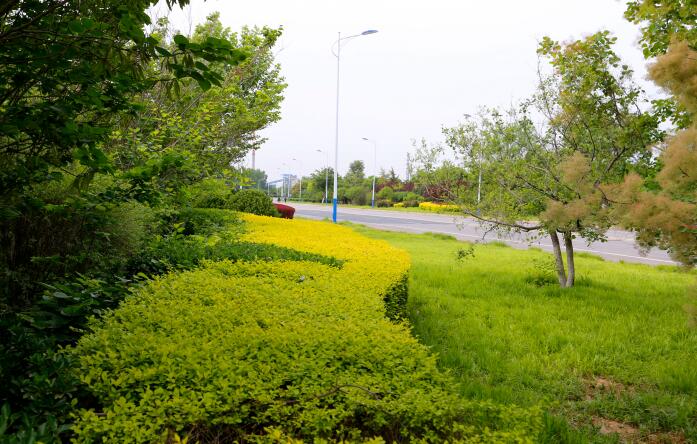 绿草茵茵 花团锦簇 泉水潺潺…匠心打磨，只为最美的“绿城花城泉城”