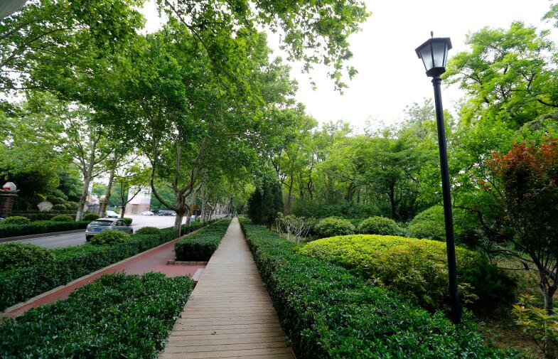 绿草茵茵 花团锦簇 泉水潺潺…匠心打磨，只为最美的“绿城花城泉城”