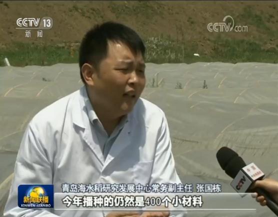 【壮丽70年 奋斗新时代】科技助力 海水稻测试面积近两万亩