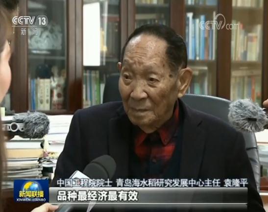 【壮丽70年 奋斗新时代】科技助力 海水稻测试面积近两万亩