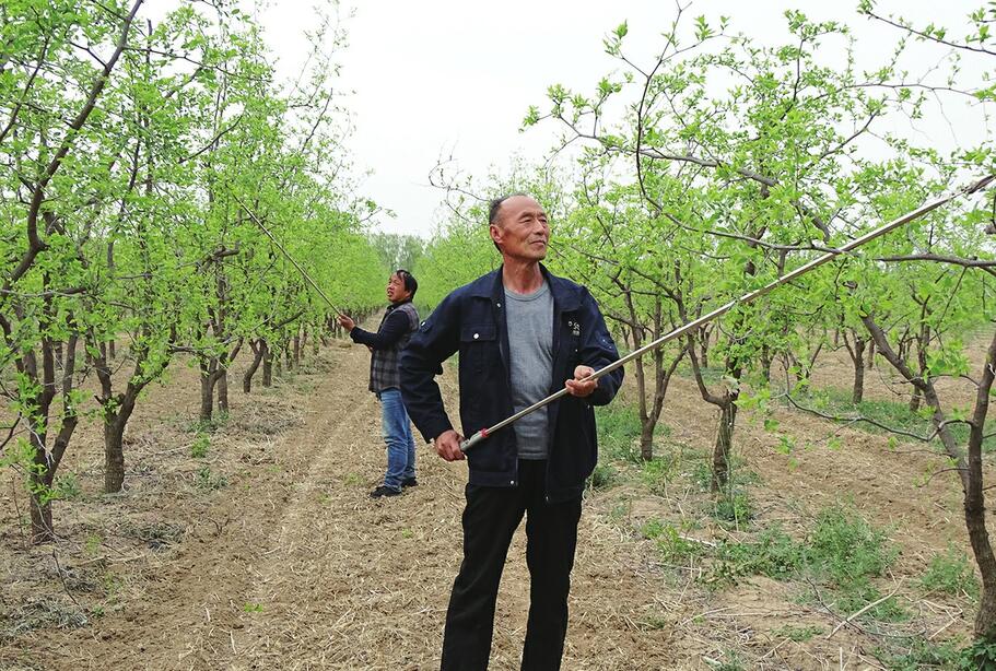 百名青年记者走基层｜村集体年收入从几乎为零到近30万元 这个特困村为啥能“逆袭”？