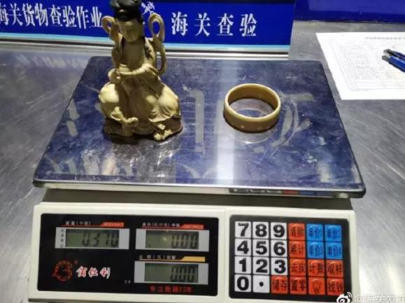 精美的象牙背后是残忍的杀戮，请拒绝象牙制品！