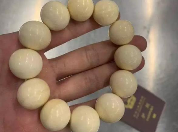 精美的象牙背后是残忍的杀戮，请拒绝象牙制品！