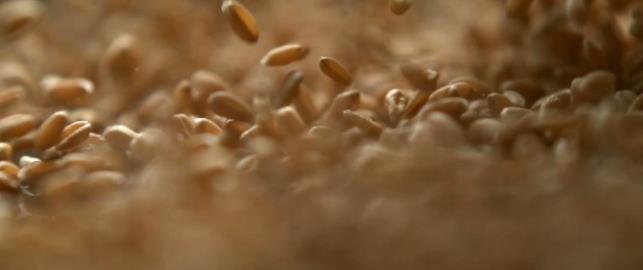 文明互鉴之光 照亮未来——中央广播电视总台推出亚洲文明对话大会主题纪录片《亚洲 文明之光》