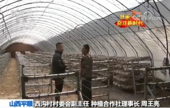 【壮丽70年 奋斗新时代】西沟村：太行山里的乡村之变