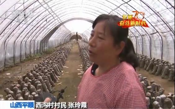 【壮丽70年 奋斗新时代】西沟村：太行山里的乡村之变