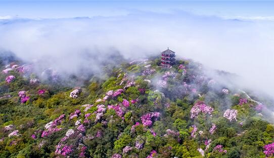 南川擦亮旅游“金字招牌”贫困村吃上了旅游饭